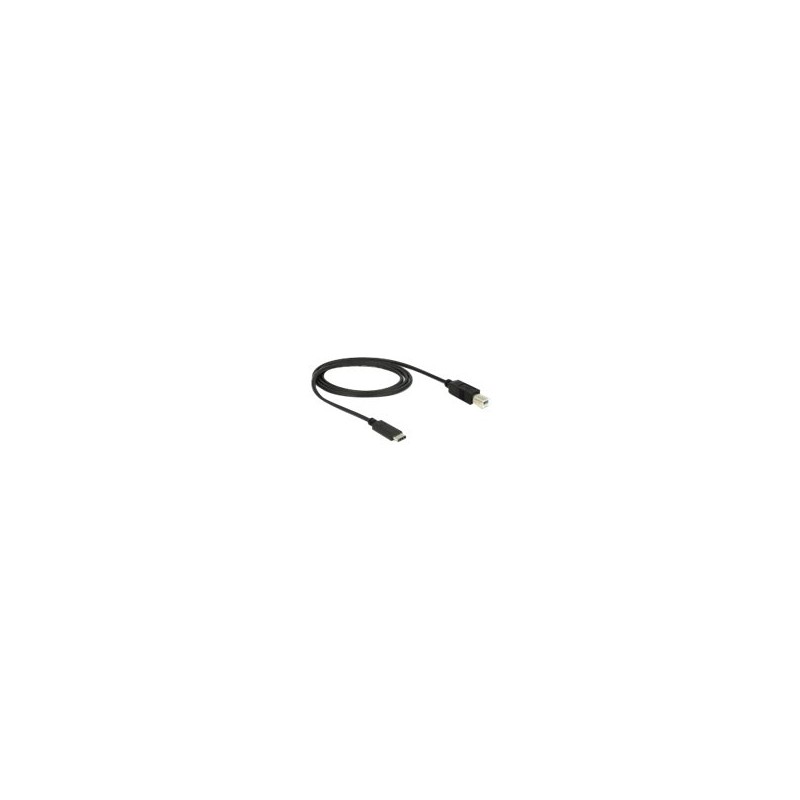 Delock - USB kabel - USB-C (M) do USB typ B (M) - USB 3.1 - 1 m - černá
