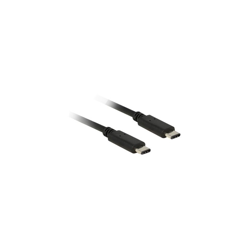 Delock - USB kabel - USB-C (M) do USB-C (M) - USB 2.0 - 50 cm - černá