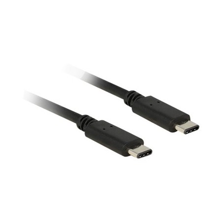 Delock - USB kabel - USB-C (M) do USB-C (M) - USB 2.0 - 50 cm - černá