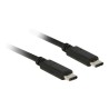 Delock - USB kabel - USB-C (M) do USB-C (M) - USB 2.0 - 50 cm - černá