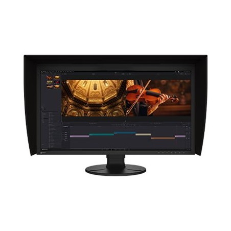 EIZO ColorEdge/CG3100X/30,5"/IPS/UHD/61Hz/15ms/Černá/5R