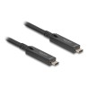 Delock - USB kabel - 24 pin USB-C (M) do 24 pin USB-C (M) - USB 2.0 - 20 V - 3 A - 3 m - Active Optical Cable (AOC), USB Power