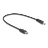 Delock - Elektrický kabel - 24 pin USB-C (M) do DC jack 3,0 x 1,1 mm (M) - 5 V - 27 cm - cerná