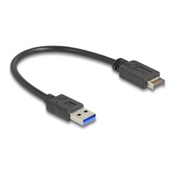 Delock - Kabel USB - 20 pin Key A (M) do USB typ A (M) - 30 cm