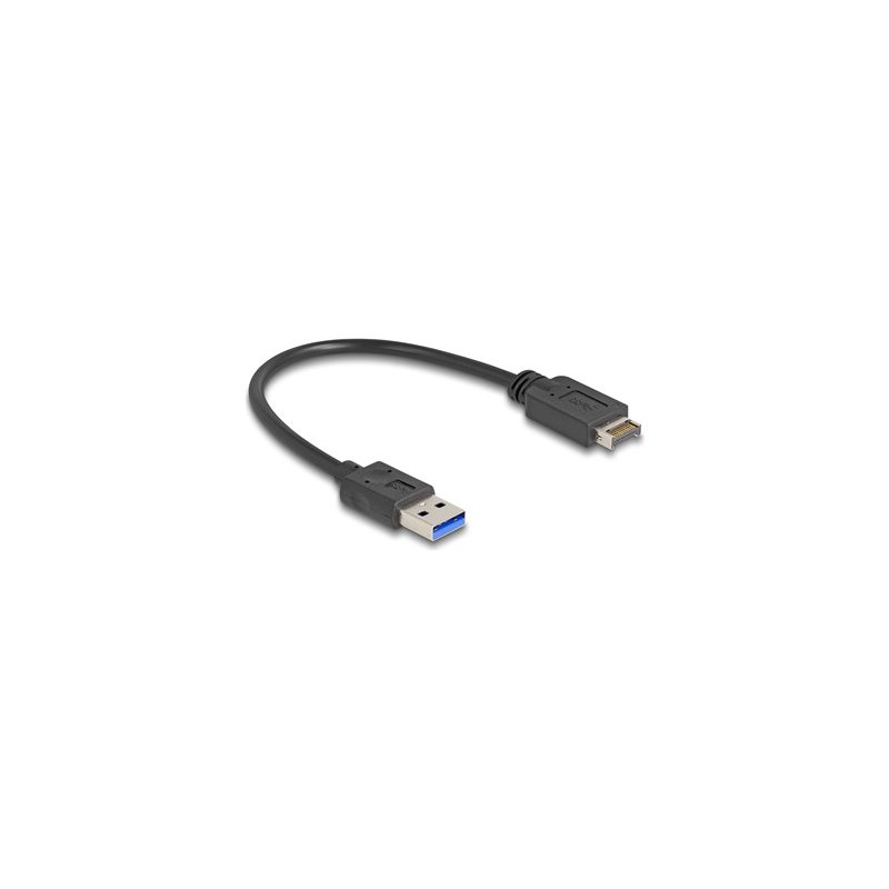 Delock - Kabel USB - 20 pin Key A (M) do USB typ A (M) - 30 cm
