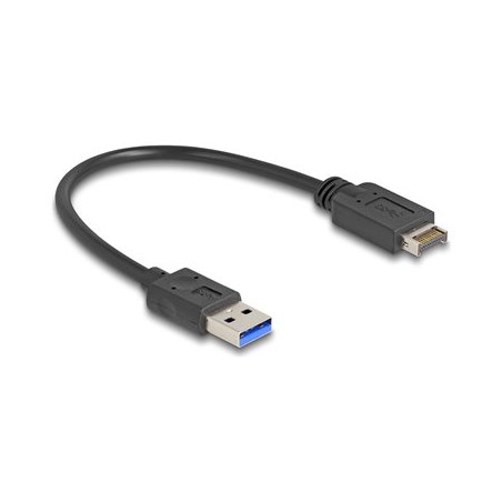 Delock - Kabel USB - 20 pin Key A (M) do USB typ A (M) - 30 cm