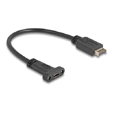 Delock - USB interní kabel - 24 pin USB-C (F) montáž na panel do 20 pin Key A (F) - 5 V - 1.5 A - 25 cm - rychlost prenosu dat