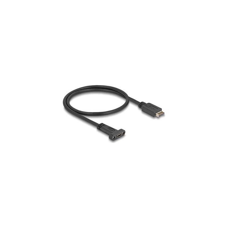 Delock - Kabel USB adaptéru - 20 pinový USB Typ E (M) Klíc A do 24 pin USB-C (F) montáž na panel - 5 V - 1.5 A - 50 cm