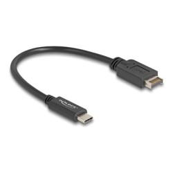Delock - USB kabel - 20 pin Key A (M) do 24 pin USB-C (M) - USB 3.2 Gen 2 - 25 cm