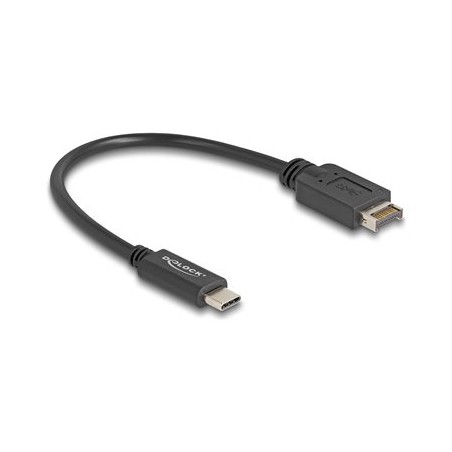Delock - USB kabel - 20 pin Key A (M) do 24 pin USB-C (M) - USB 3.2 Gen 2 - 25 cm