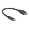Delock - USB kabel - 20 pin Key A (M) do 24 pin USB-C (M) - USB 3.2 Gen 2 - 25 cm