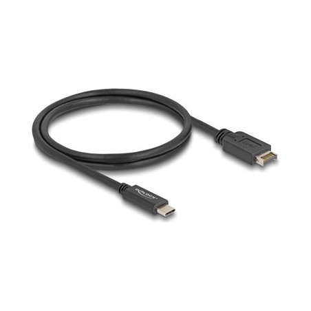 Delock - USB kabel - 20 pinový USB Typ E (M) Klíc A do 24 pin USB-C (M) - 1 m - rychlost prenosu dat až 10 Gbps