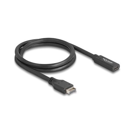 Delock - USB kabel - 20 pinový USB Typ E (M) Klíc A do 24 pin USB-C (F) - 5 V - 1.5 A - 70 cm - rychlost prenosu dat až 10 Gbps