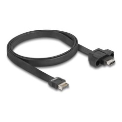 Delock - Kabel USB - 20 pinový USB Typ E (M) Klíc A do 24 pin USB-C (F) montáž na panel - 5 V - 1.5 A - 75 cm - plochý