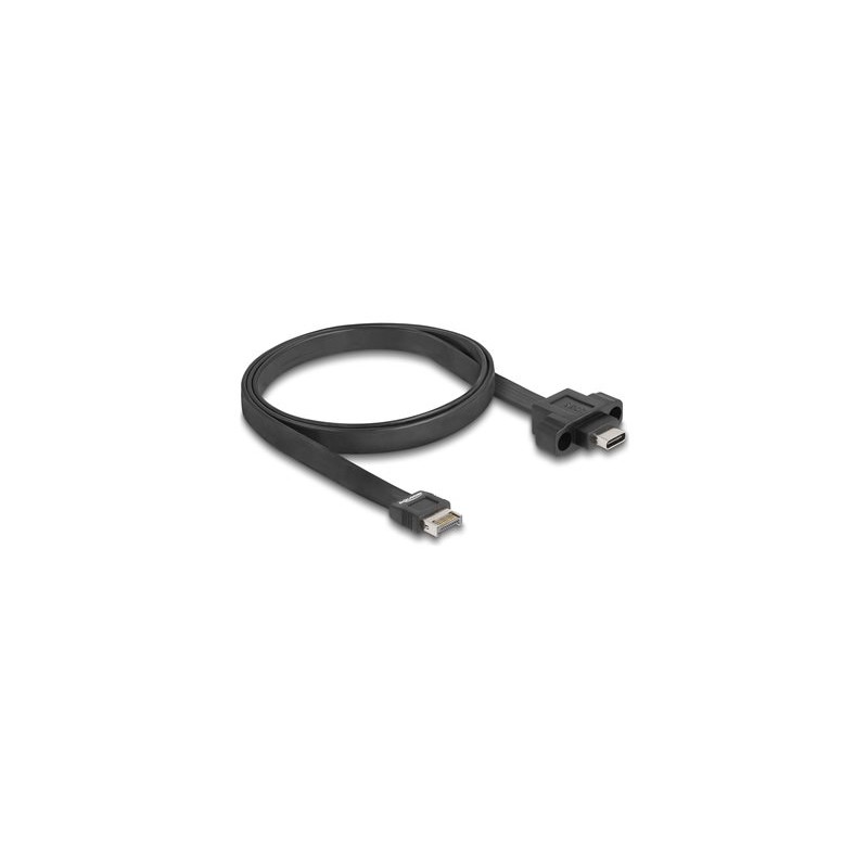 Delock - Kabel USB - 20 pinový USB Typ E (M) Klíc A do 24 pin USB-C (F) montáž na panel - 5 V - 1.5 A - 75 cm - plochý