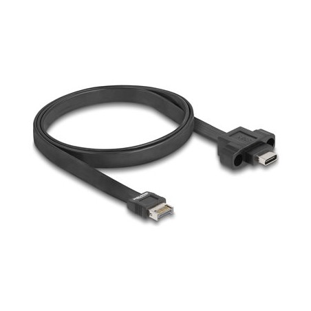 Delock - Kabel USB - 20 pinový USB Typ E (M) Klíc A do 24 pin USB-C (F) montáž na panel - 5 V - 1.5 A - 75 cm - plochý