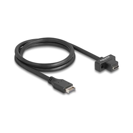Delock - Kabel USB - 20 pinový USB Typ E (M) Klíc A do 24 pin USB-C (F) montáž na panel - 5 V - 1.5 A - 70 cm - rychlost