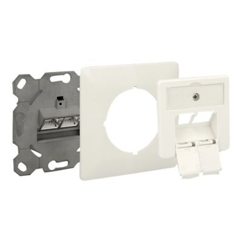 Delock Modular Wall Outlet flush mount 2 Port Cat.6A LSA - Zásuvka pro podomítkovou instalaci - CAT 6 - STP - RJ-45 X 2 - 1