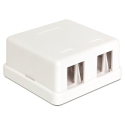 Delock Keystone Surface Mounted Box - Kryt zásuvné jednotky - bílá - 2 porty