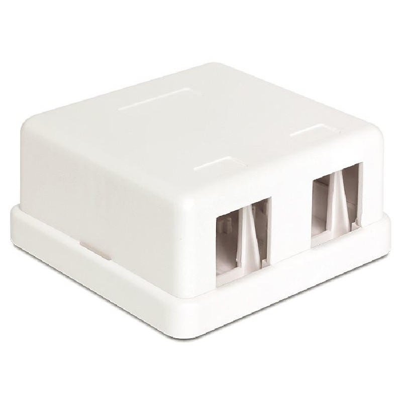 Delock Keystone Surface Mounted Box - Kryt zásuvné jednotky - bílá - 2 porty