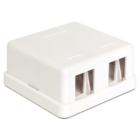 Delock Keystone Surface Mounted Box - Kryt zásuvné jednotky - bílá - 2 porty