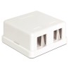 Delock Keystone Surface Mounted Box - Kryt zásuvné jednotky - bílá - 2 porty