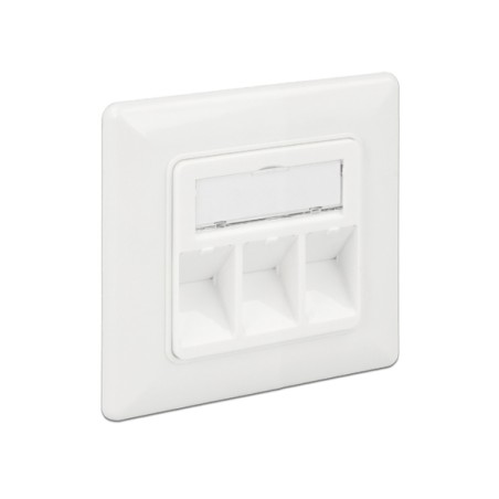 Delock Keystone Wall Outlet - Zásuvka pro povrchovou montáž - čistě bílá, RAL 9010 - 3 porty