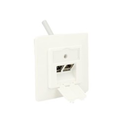 Delock Keystone Wall Outlet - Zásuvka pro povrchovou montáž - čistě bílá, RAL 9010 - 2 porty