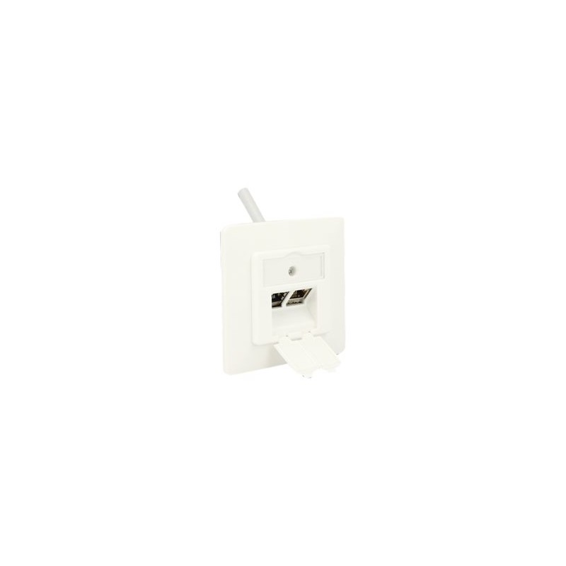 Delock Keystone Wall Outlet - Zásuvka pro povrchovou montáž - čistě bílá, RAL 9010 - 2 porty