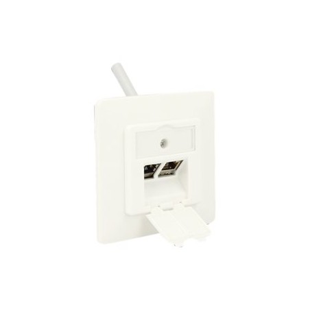 Delock Keystone Wall Outlet - Zásuvka pro povrchovou montáž - čistě bílá, RAL 9010 - 2 porty