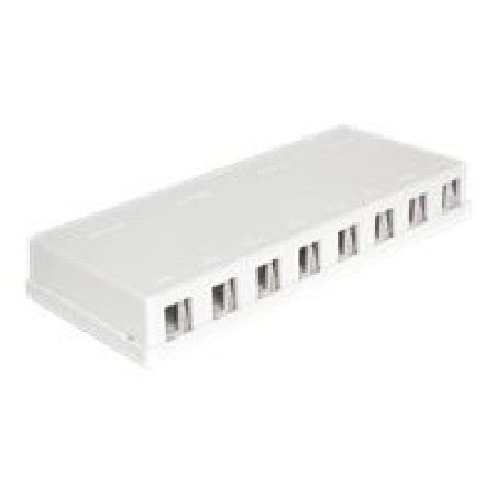 Delock Keystone Surface Mounted Box - Kryt zásuvné jednotky - bílá - 8 portů