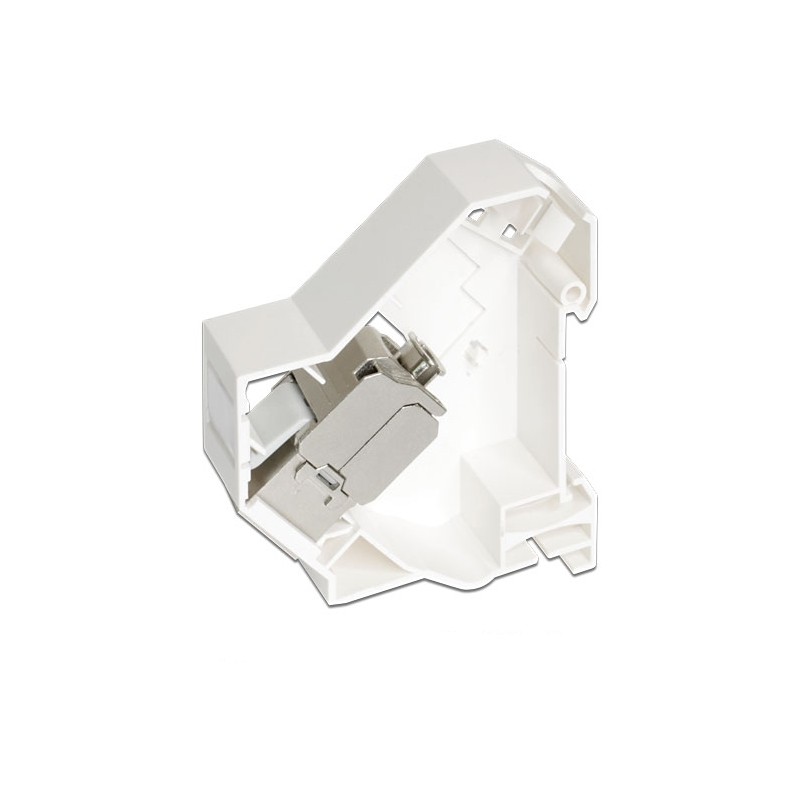 Delock Keystone Mounting for DIN rail - Montážní sada kolejnice DIN - bílá