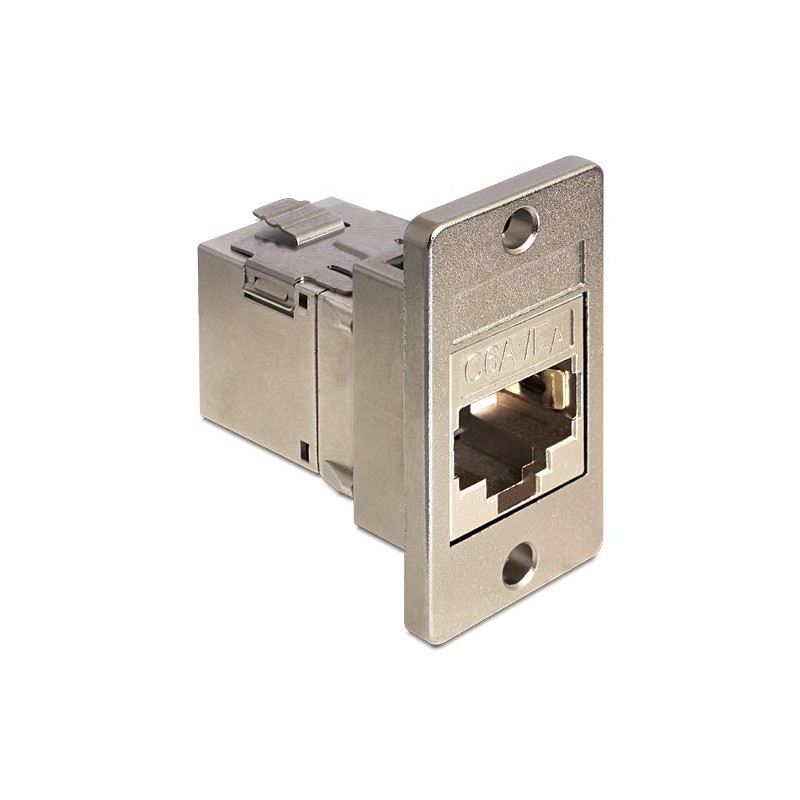 Delock Keystone Mounting for enclosures - Montážní úchyt modulární vložky