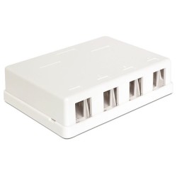 Delock Keystone Surface Mounted Box - Kryt zásuvné jednotky - bílá - 4 porty