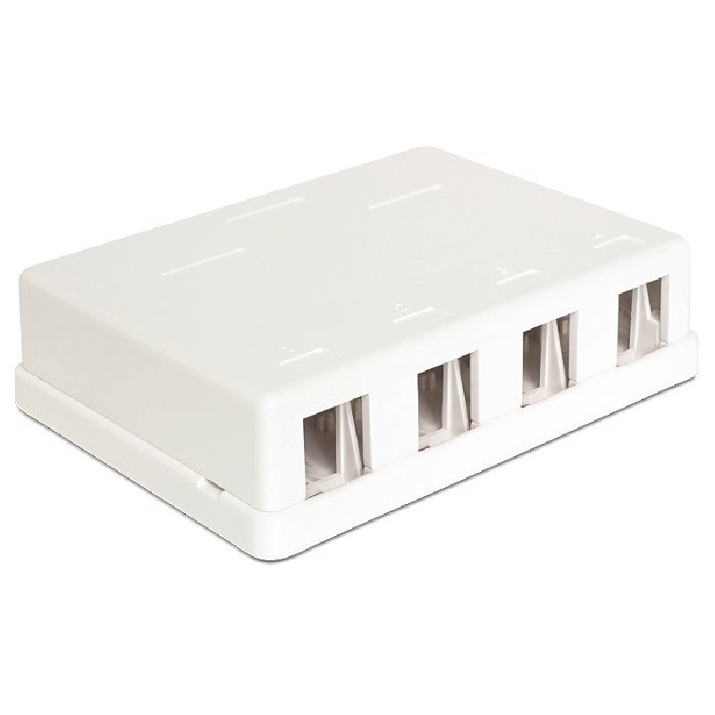 Delock Keystone Surface Mounted Box - Kryt zásuvné jednotky - bílá - 4 porty