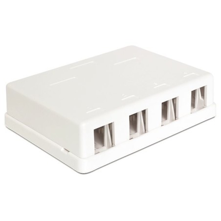 Delock Keystone Surface Mounted Box - Kryt zásuvné jednotky - bílá - 4 porty