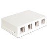 Delock Keystone Surface Mounted Box - Kryt zásuvné jednotky - bílá - 4 porty