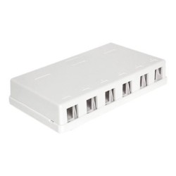 Delock Keystone Surface Mounted Box - Kryt zásuvné jednotky - bílá - 6 portů