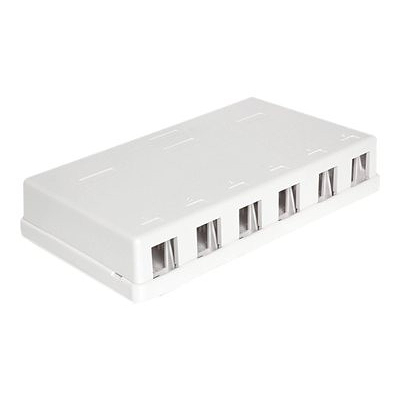 Delock Keystone Surface Mounted Box - Kryt zásuvné jednotky - bílá - 6 portů