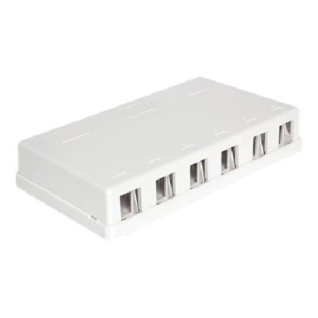 Delock Keystone Surface Mounted Box - Kryt zásuvné jednotky - bílá - 6 portů