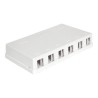 Delock Keystone Surface Mounted Box - Kryt zásuvné jednotky - bílá - 6 portů