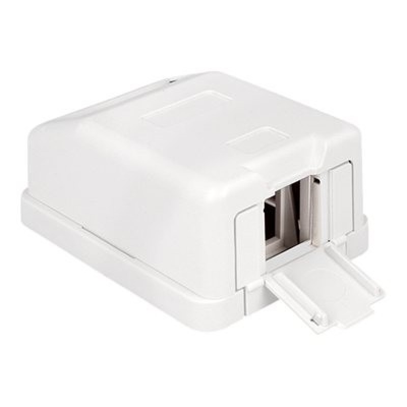 Delock Keystone Surface Mounted Box - Kryt zásuvné jednotky - bílá - 1 port