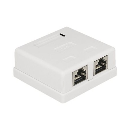 Delock Modular Wall - Zásuvka pro povrchovou montáž - CAT 6 - STP - RJ-45 X 2 - bílá