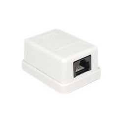 Delock - Zásuvka pro povrchovou montáž - CAT 6 - UTP - RJ-45 - bílá