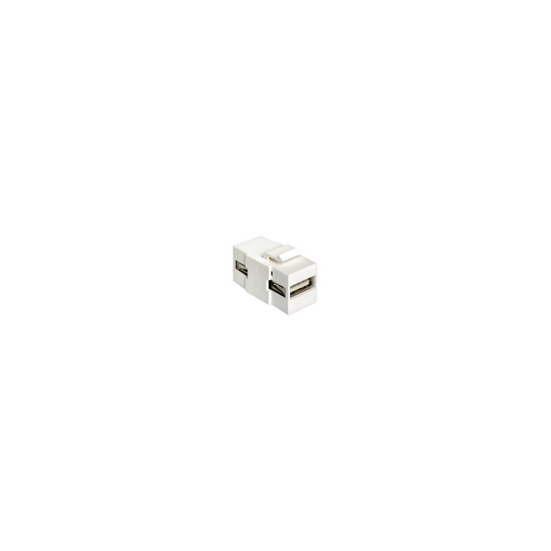 Delock - Modulární vložka (spojka) - USB Type A