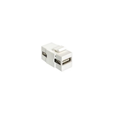 Delock - Modulární vložka (spojka) - USB Type A
