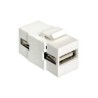 Delock - Modulární vložka (spojka) - USB Type A