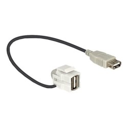 Delock - Modul - USB Type A 86327