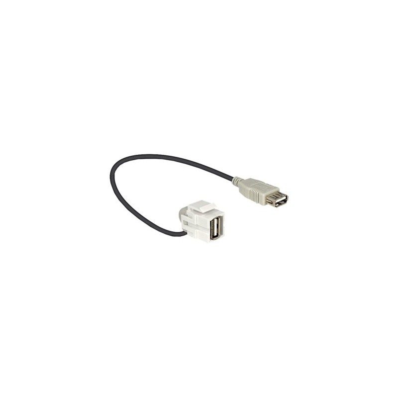 Delock - Modul - USB Type A 86327