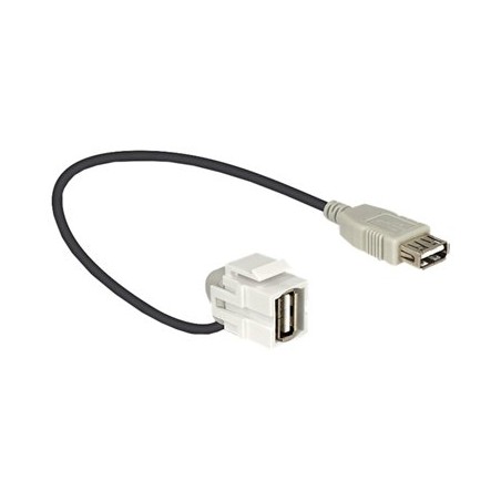 Delock - Modul - USB Type A 86327